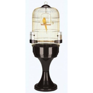 CAGE MAX 6 ANTIQUE BRASS 56X56X77CM