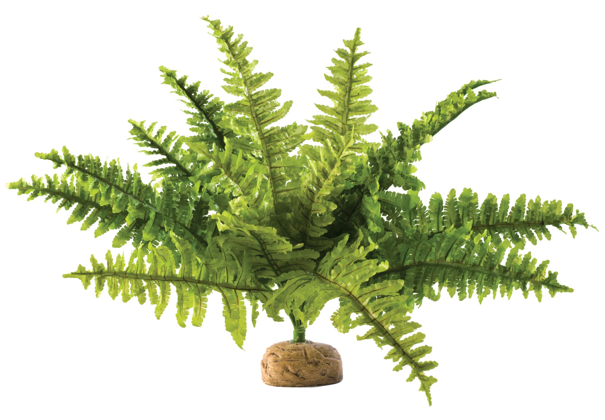 Terraariumi dekor Boston Fern M PT2995