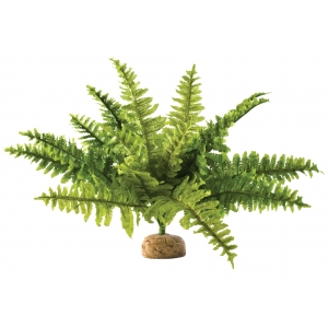 Terraariumi dekor Boston Fern M PT2995