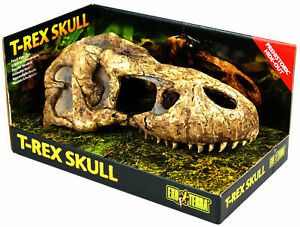 EX T-Rex Skull