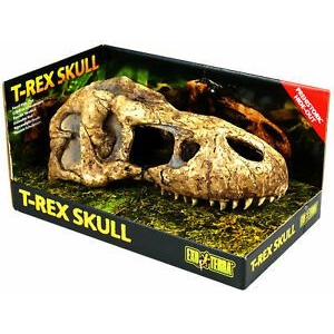 Terraariumi dekor T-Rex Skull 23x11x8cm PT2859