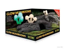 Terraariumi dekor Glow Mushrooms/seened PT2843