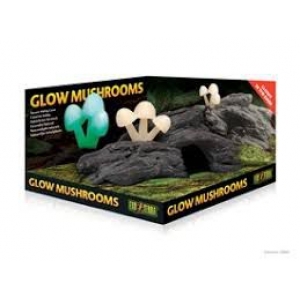 Terraariumi dekor Glow Mushrooms/seened PT2843