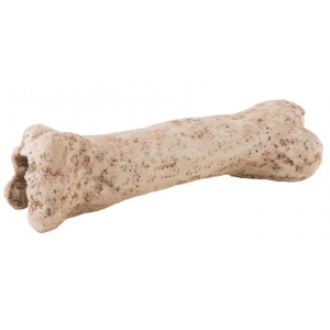 EX Dinosaur Bone