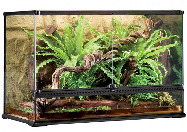 Terrarium taustaga 90x45x60cm PT2614