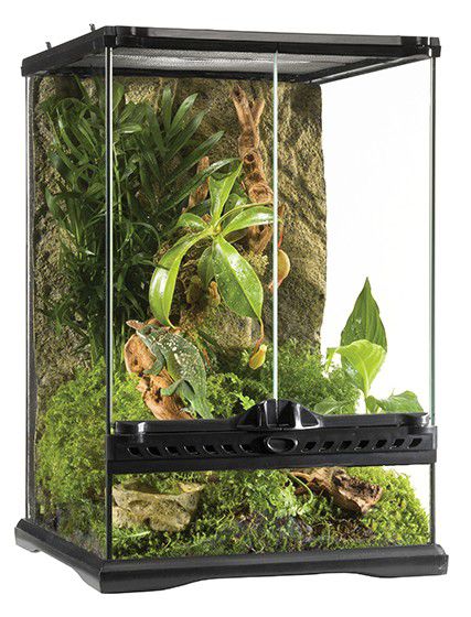 EX All Glass Terrarium, H-45cm-V