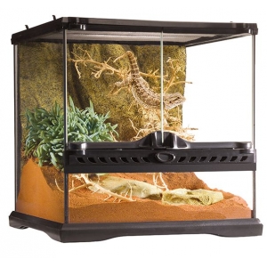 EX All Glass Terrarium, H -30cm-V