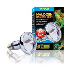 Terrariumi lamp Sun Glo Halogen 75w PT2182