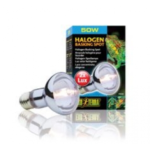 EX SunGlo Daylite Halogen Lp. 50W-V