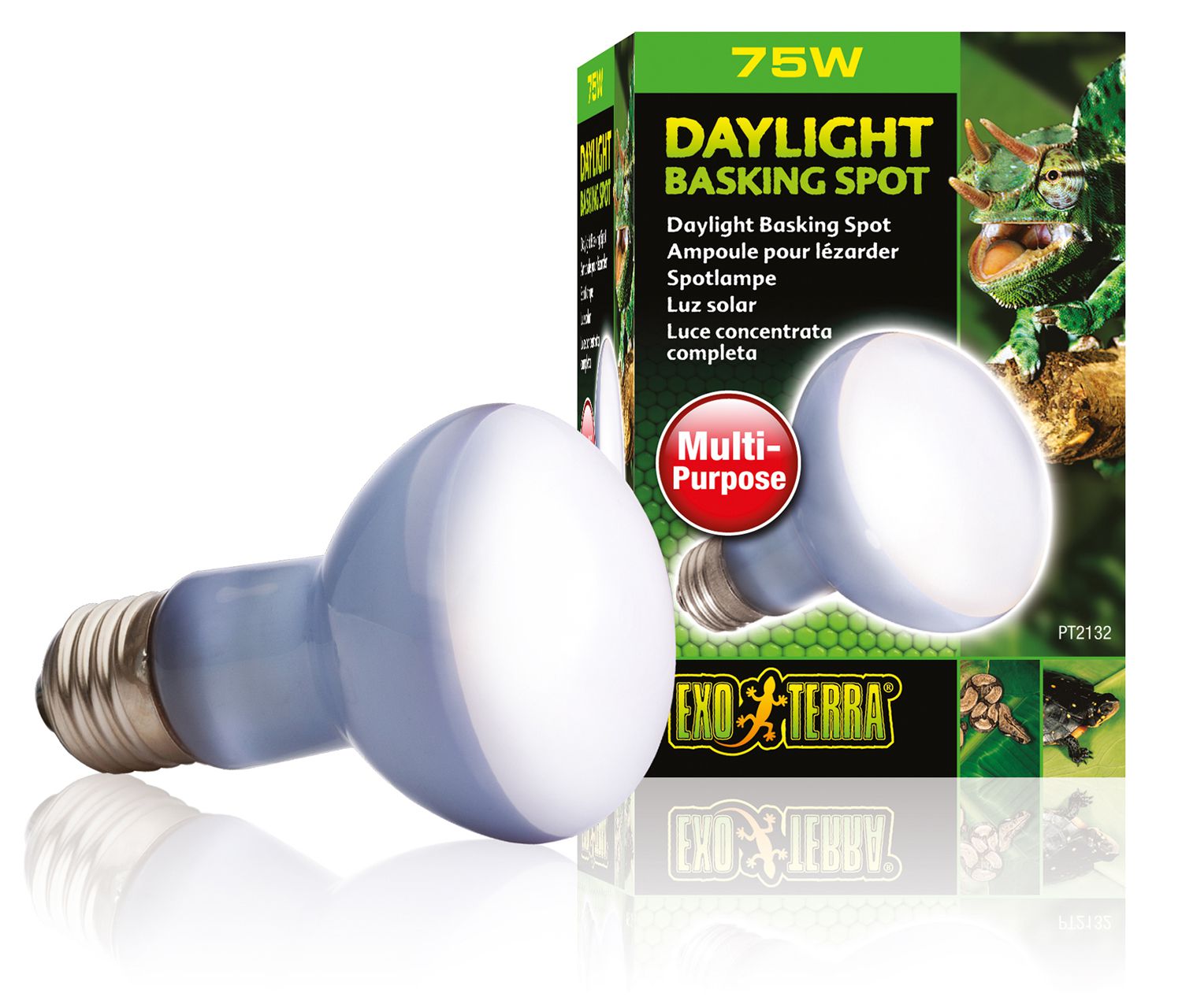 Day Glo Basking Spot Lamp 75W-V