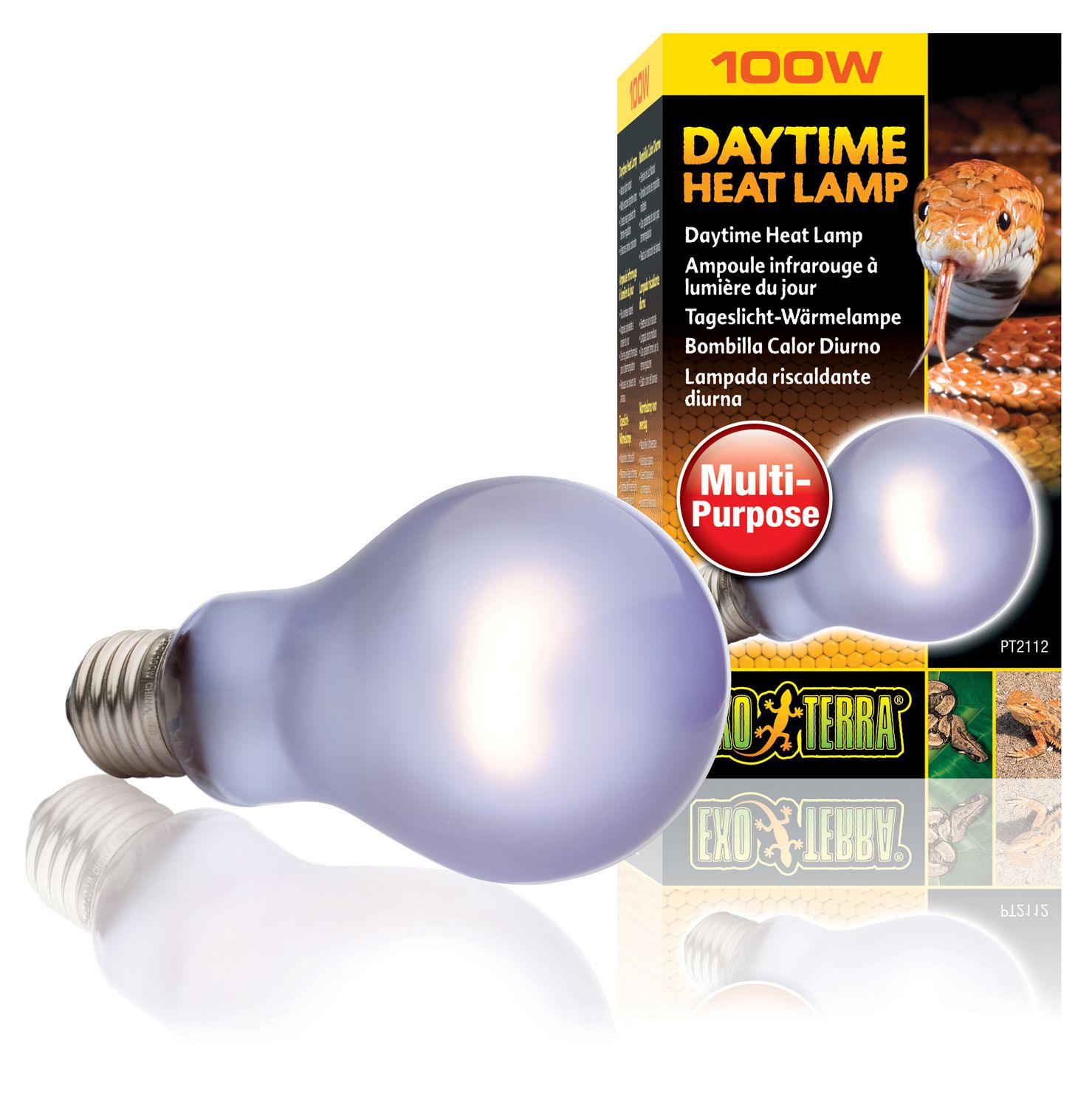 EX Day Glo Bulb 100W-V