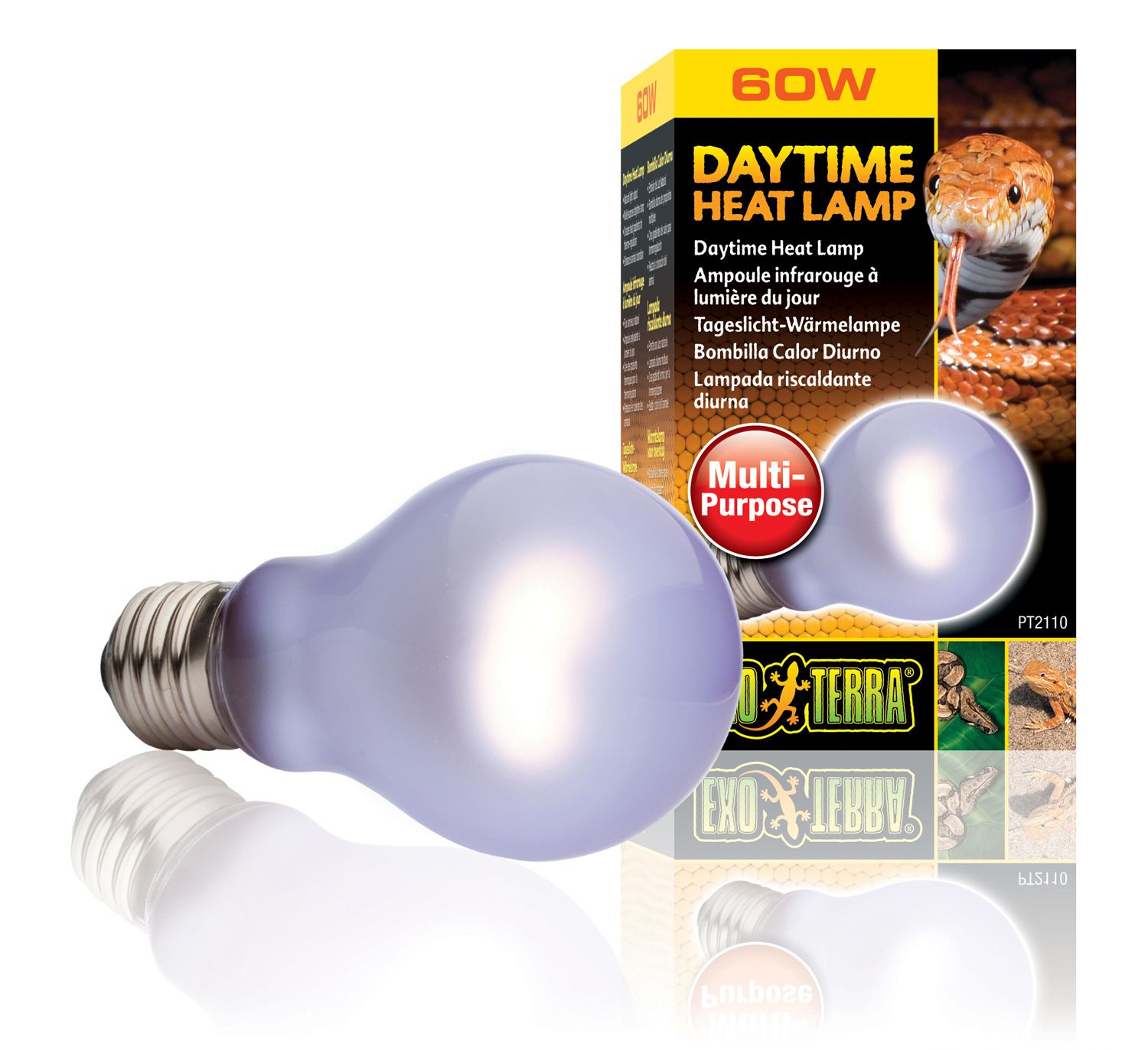 EX Day Glo Bulb 60W-V