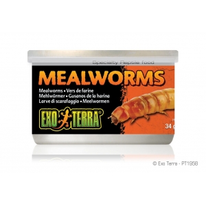 EX MeaLWorms, 1.2oz-V