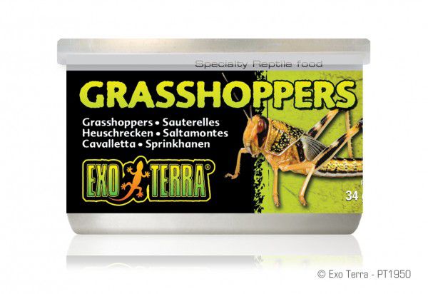 Exo-Terra Grasshoppers 34g.