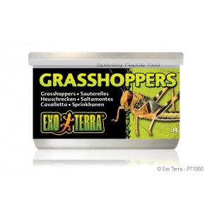 EX Wild Male Sml.GrHoppers 1.2oz-V