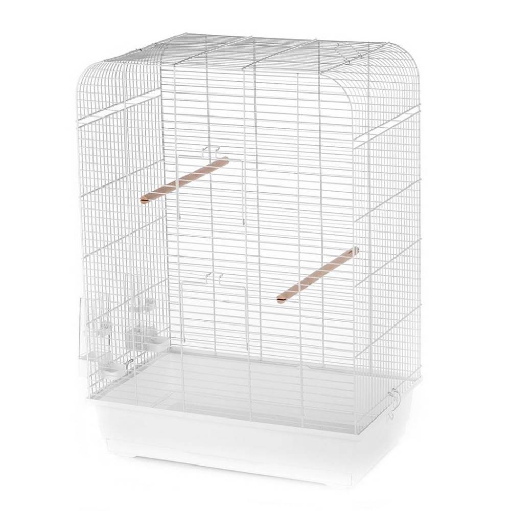 Cage Nina