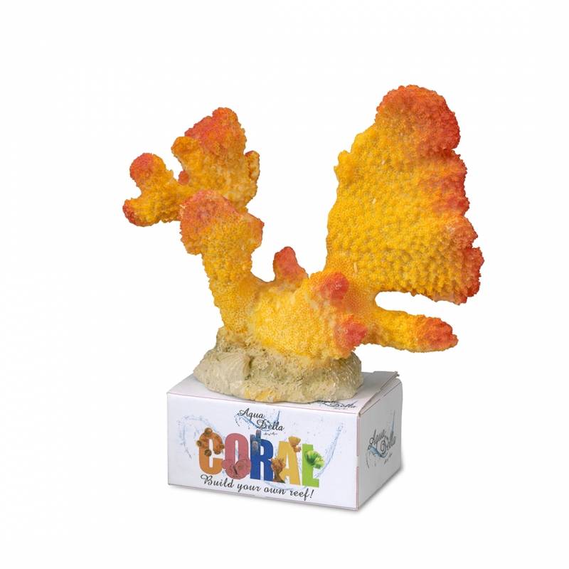 CORAL MODULE CAULIFLOWER CORAL L - 16x15x8,3CM