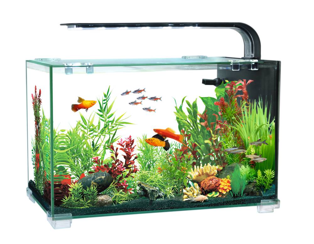 Aquarium AQUACLEAR DESKTOP TANK AC16  13L 356x206x234mm