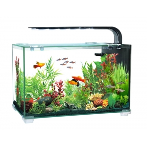 Akvaarium AQUACLEAR DESKTOP TANK AC16  13L 356x206x234mm