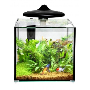 Aquarium Clear Cube CC-30, 32l