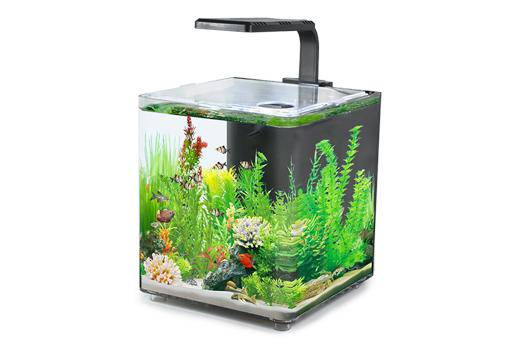 Aquarium AQUACLEAR DESKTOP TANK AC10  9.4L 243x203x233mm