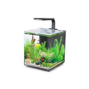 Aquarium AQUACLEAR DESKTOP TANK AC10  9.4L 243x203x233mm