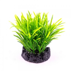 Plastic plant Q-113C 4"