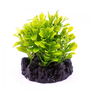 Plastic plant Q-3007B 4"