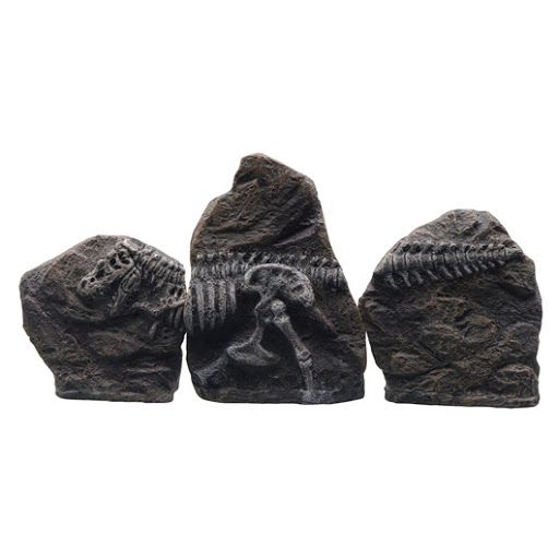 Marina Ornament, Tyrannosaurus, 3pcs