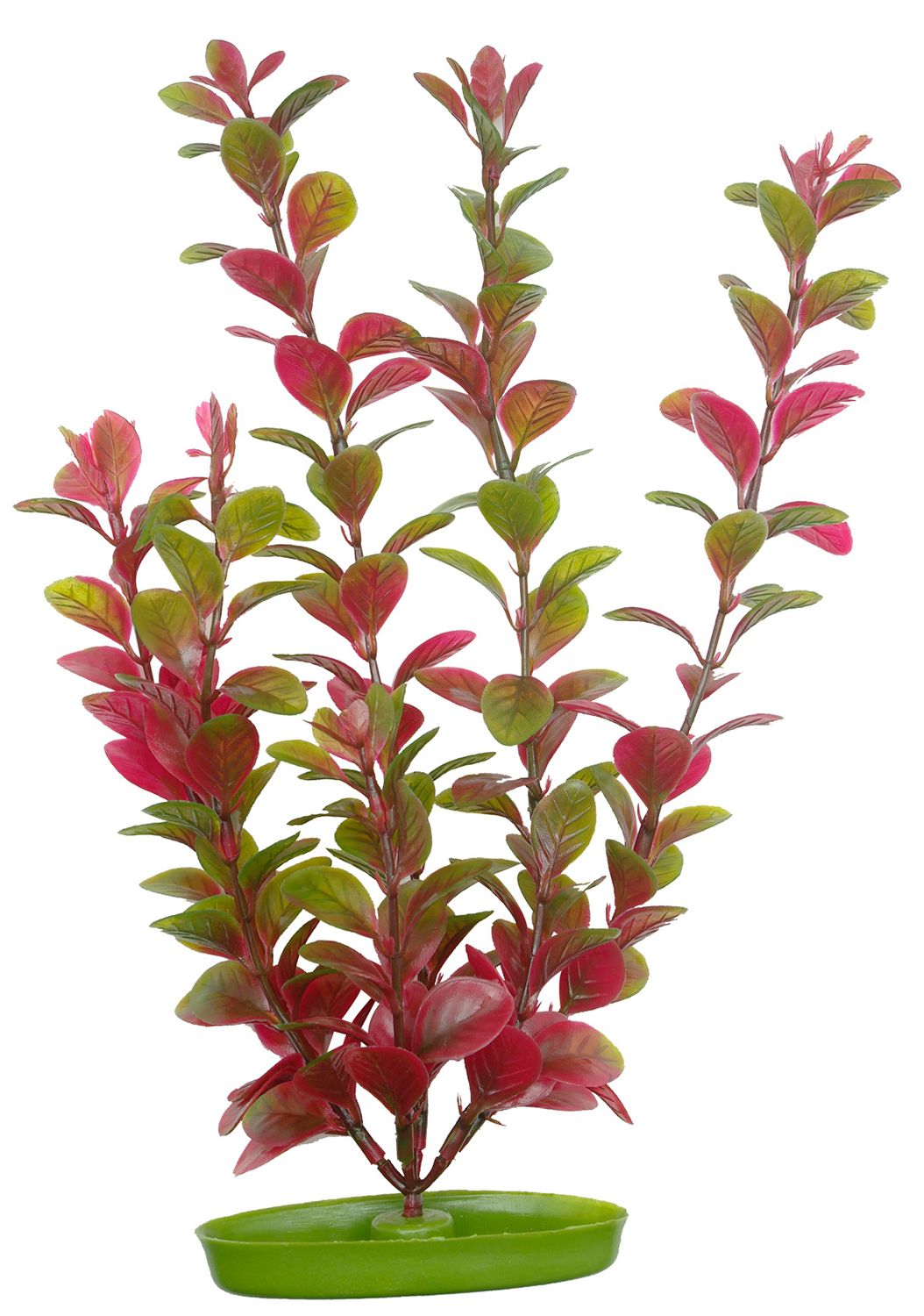 Marina AquaScaper 30cm - Red Ludwigia-V