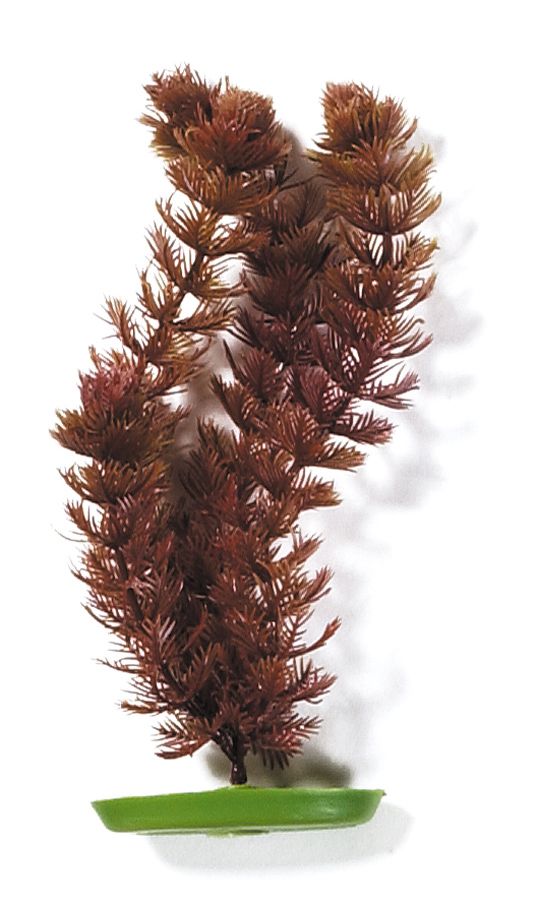 Marina AquaScaper 30cm - Foxtail-V