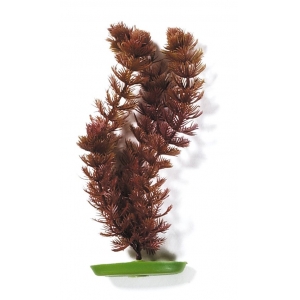 Marina AquaScaper 30cm - Foxtail-V