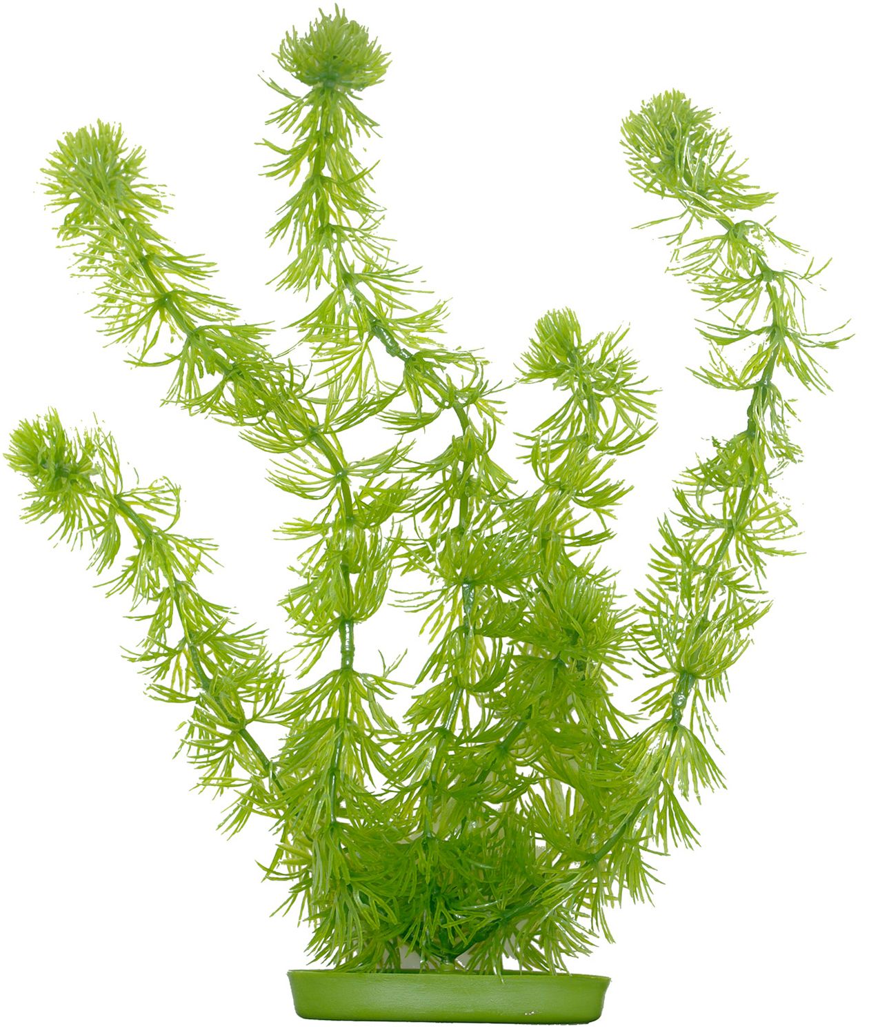 Marina AquaScaper 30cm - Hornwort-V