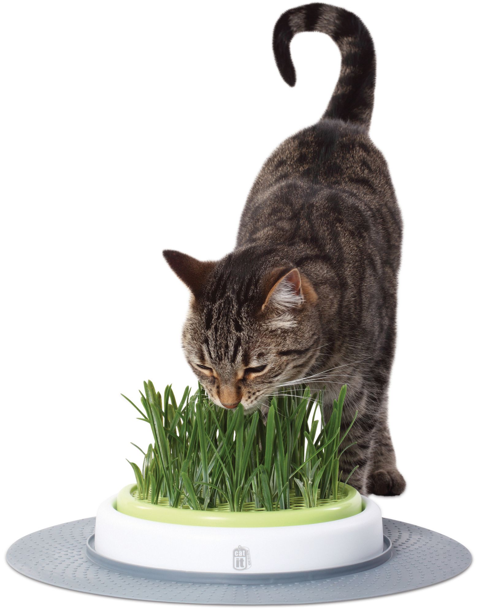 Catit Design Senses Grass Garden Kit