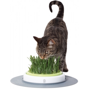 Kassimuru+kauss Catit Design Senses Grass Garden Kit