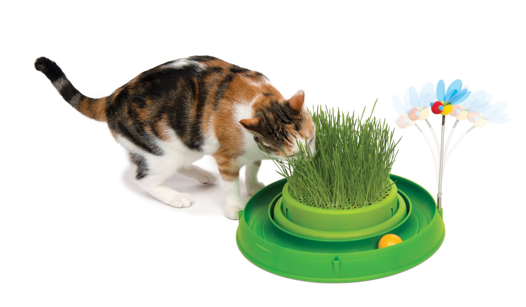 CA Play Circuit Ball w. Cat Grass