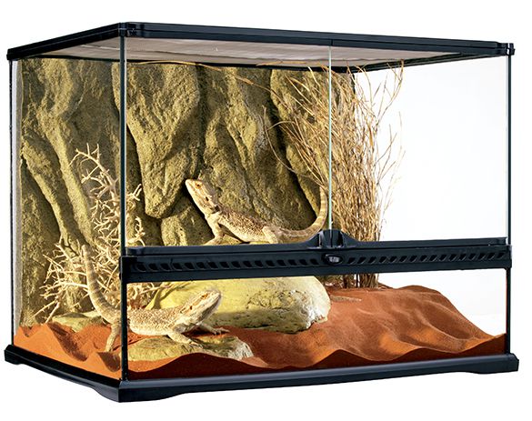 Terrarium taustaga 60x45x45cm PT2610