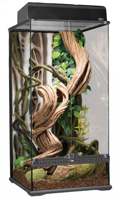 EX Natural Terrarium Small X-Tall 45x45x90cm