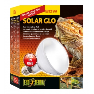 EX Solar Glo 80W