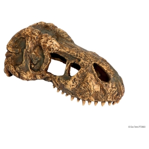 Terraariumi dekor T-Rex Skull 18x9x8cm PT2860