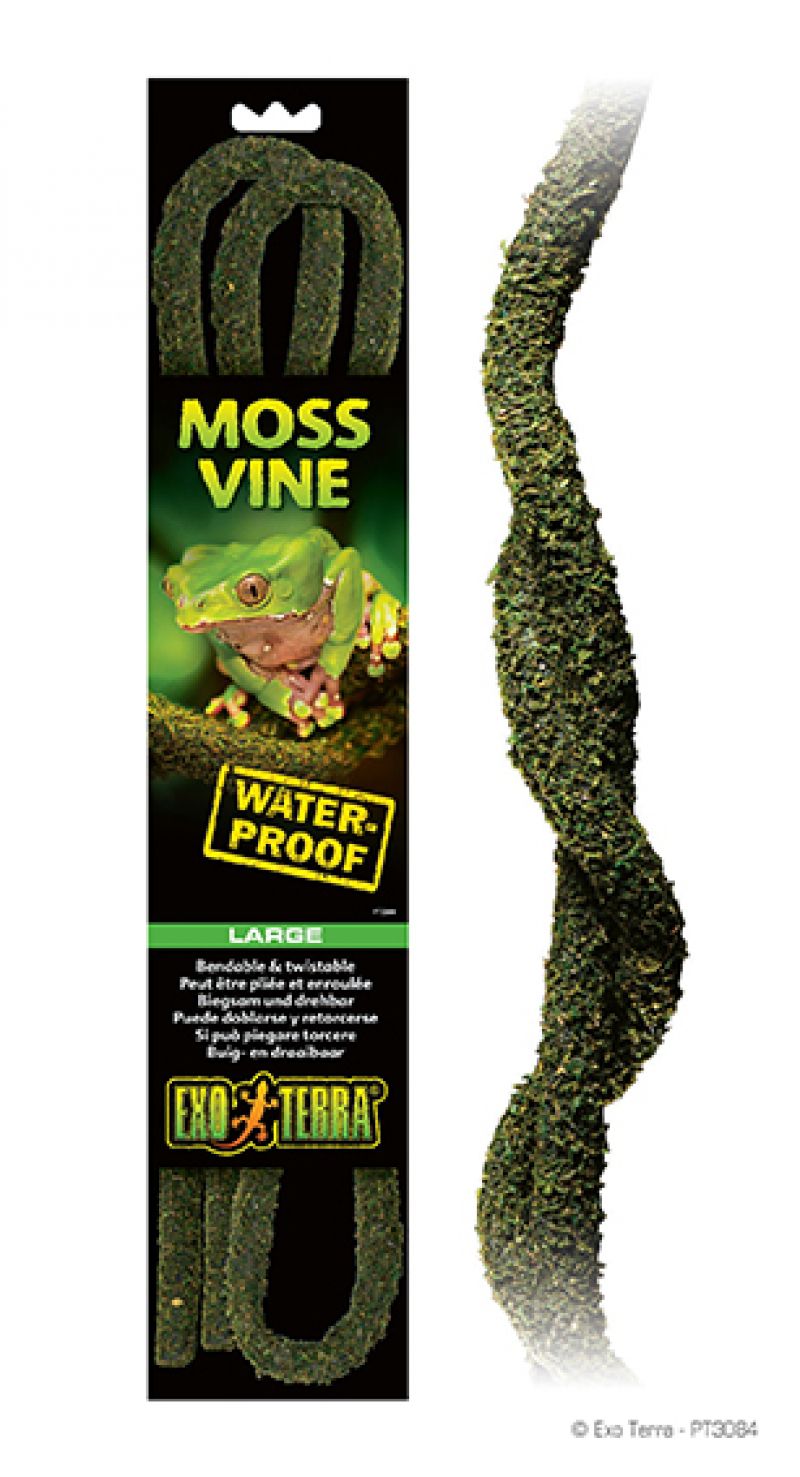 EX Moss Vine Large