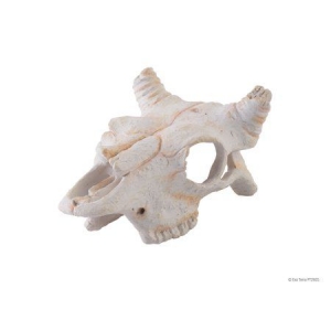 Terraariumi dekor Buffalo Skull PT-2925