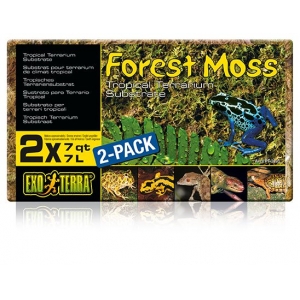 Terrariumi substraat Forest Moss 500g.