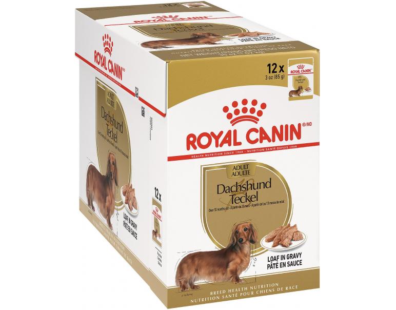 Royal Canin BHN Dachshund Wet 85g x 12 tk