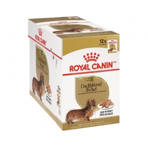 Royal Canin BHN Dachshund Wet 85g x 12 tk