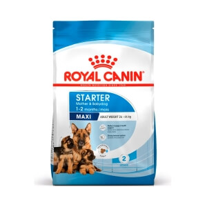 Royal Canin SHN Maxi Starter 15 kg