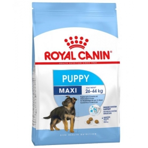 Royal Canin SHN Maxi Puppy 4 kg