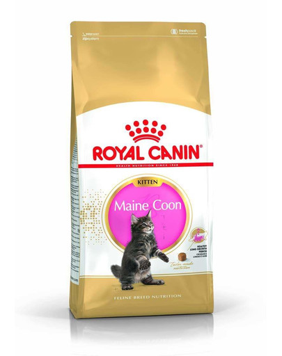 Royal Canin FBN Kitten Maine Coon 0.4kg