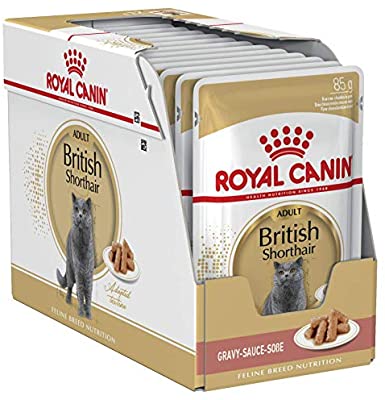 Royal Canin FBN British Shorthair Wet 85g x 12 tk