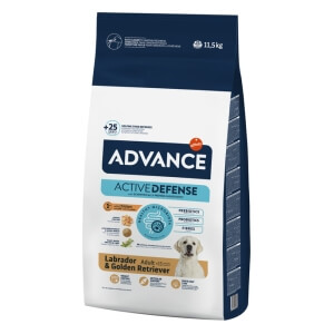 Advance Labrador Retriver 11,5kg